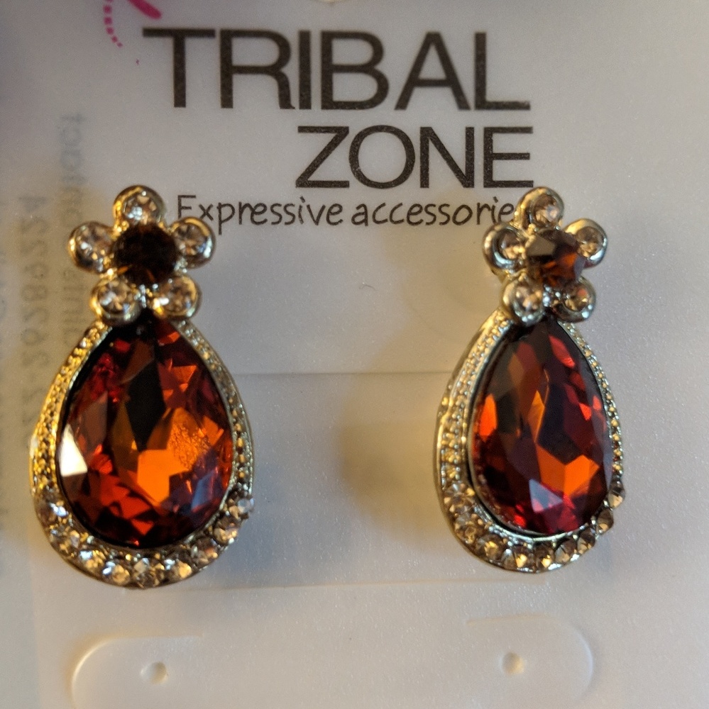 Tribal Zone New Earrings from India.